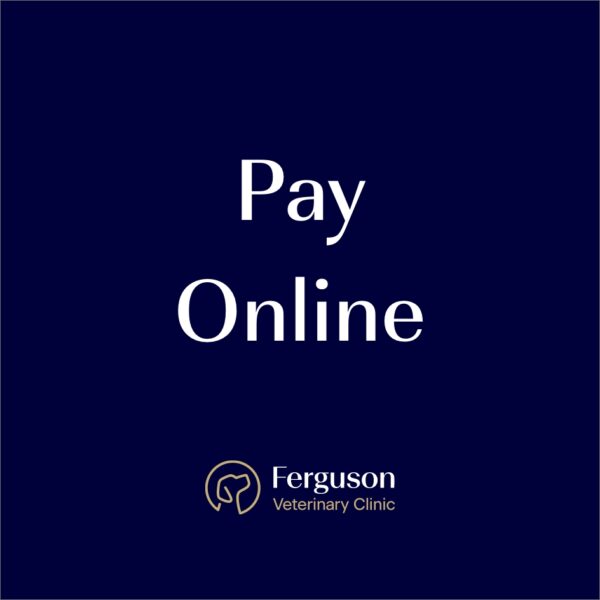 Pay Online